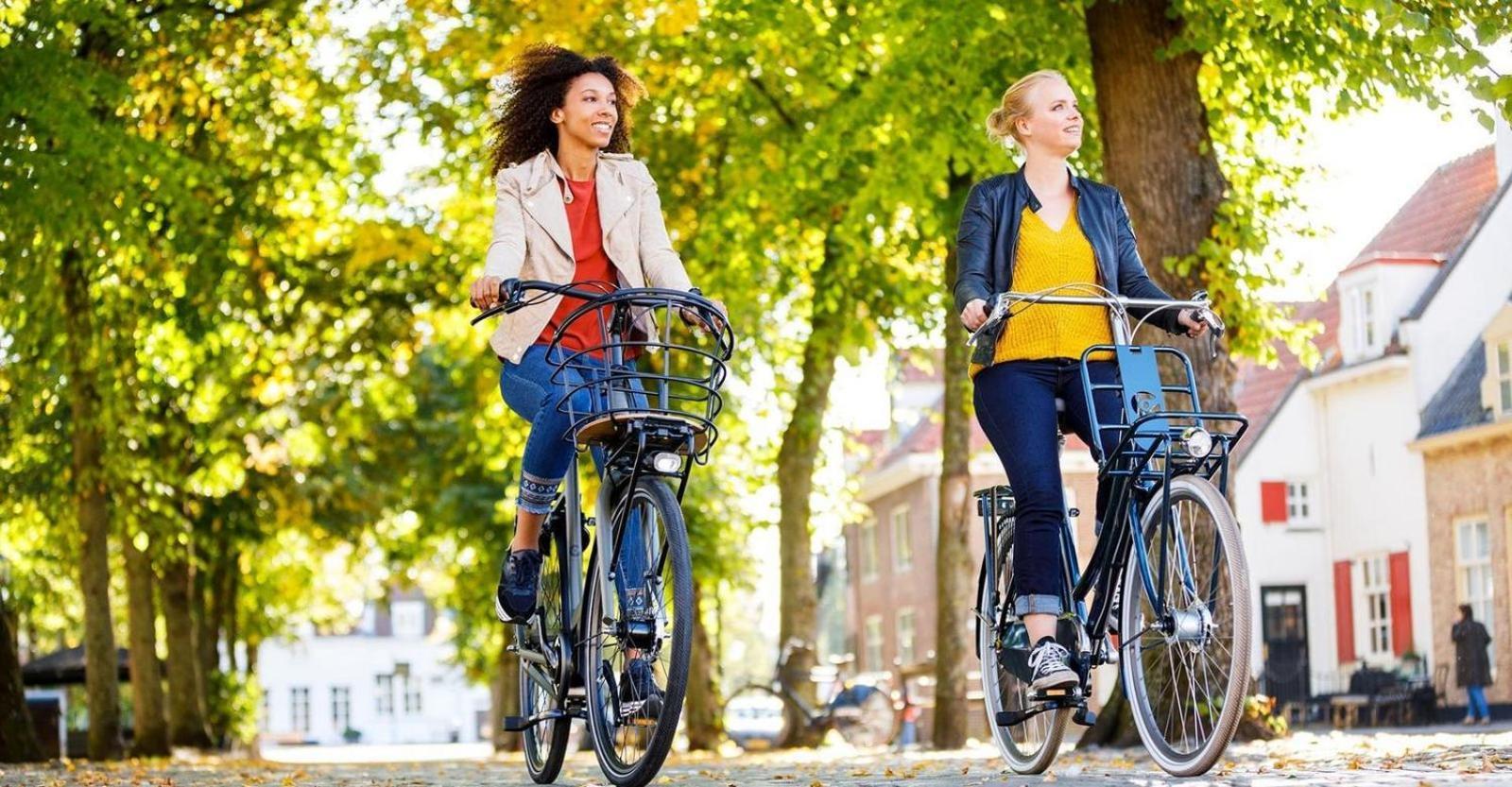 Bungalowpark Het Verscholen Dorp Harderwijk Ngoại thất bức ảnh
